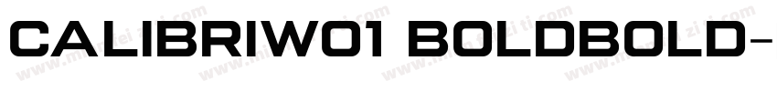 CalibriW01 BoldBold字体转换